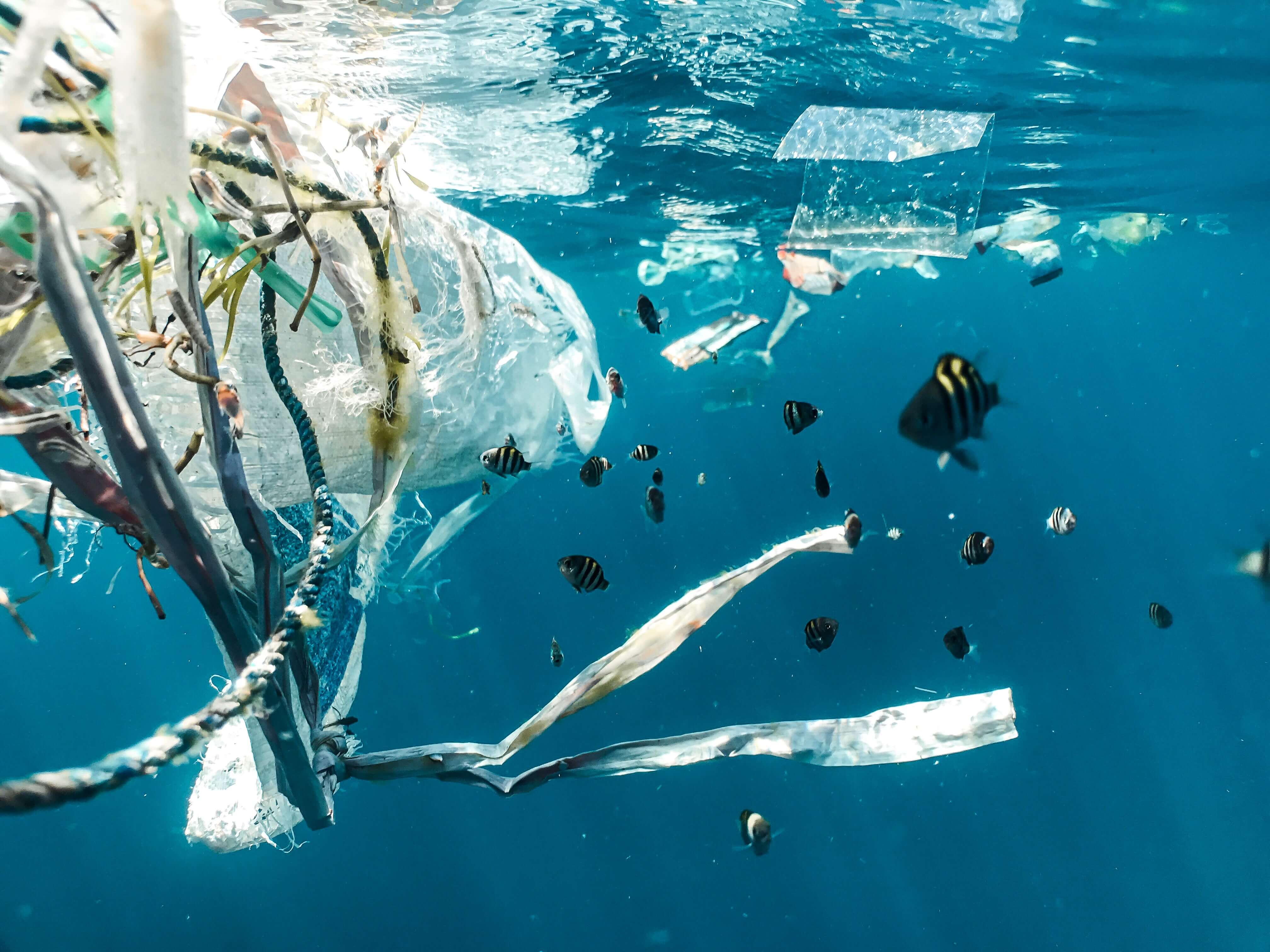 microplastic pollution mostly comes from textile fibers